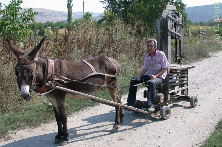 Bandsäge © C.Dietz