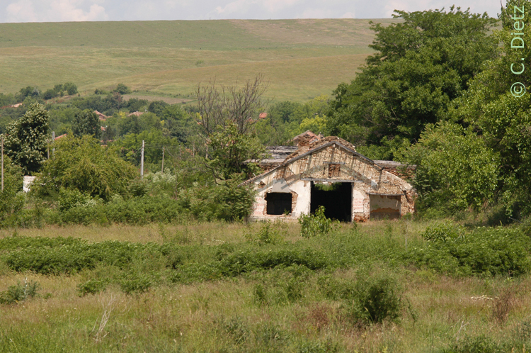 alter Hof © C.Dietz