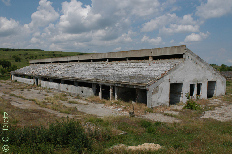 alter Hof © C.Dietz