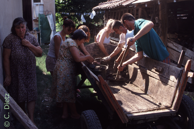 Bricketts © C.Dietz