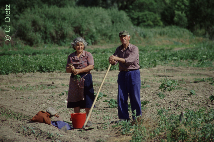 Feldarbeit © C.Dietz