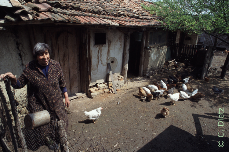 Hühnerhof © C.Dietz