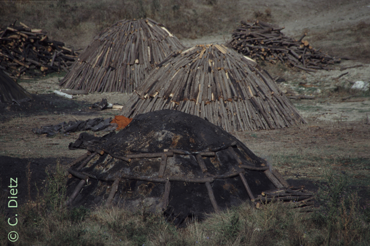 Kohlemeiler © C.Dietz