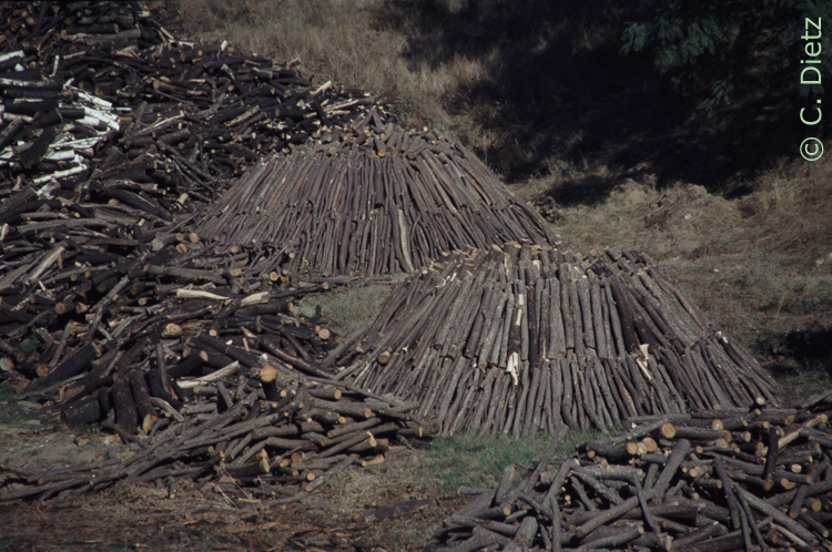 Kohlemeiler © C.Dietz