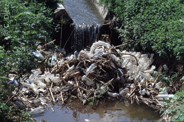 Plastikmüll © C.Dietz