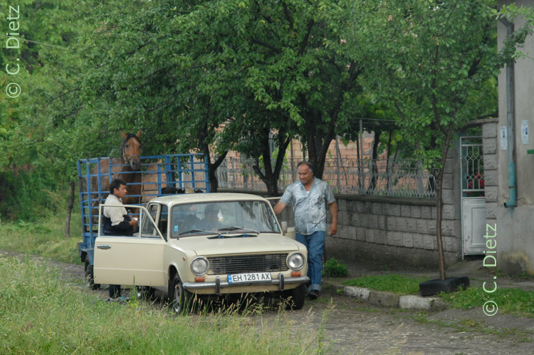 Schlachter © C.Dietz