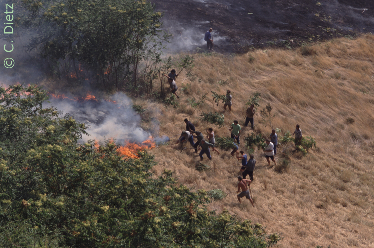 Steppenbrand © C.Dietz