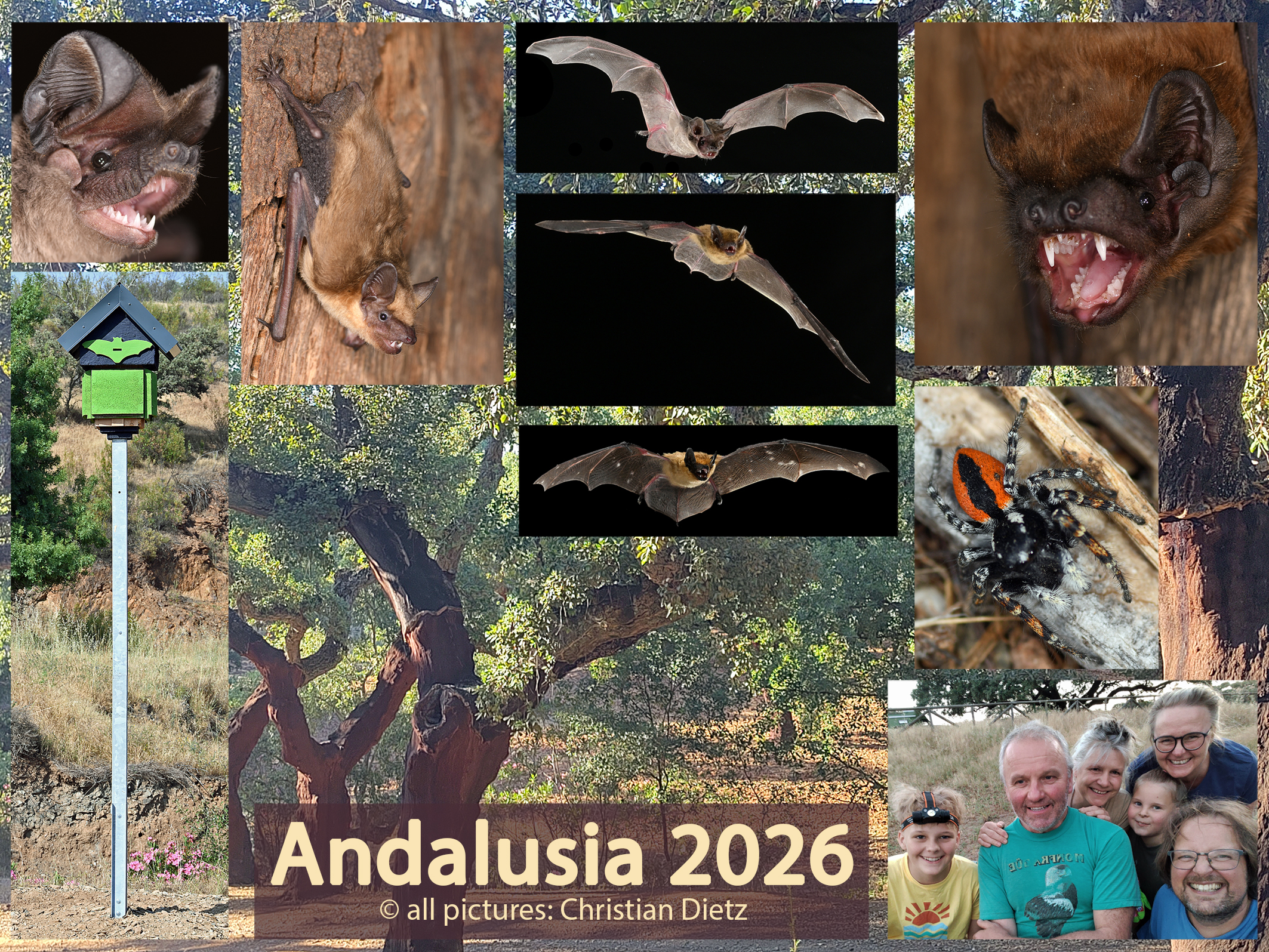 Andalusia 2026