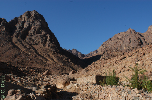 Habitat Barbastella leucomelas