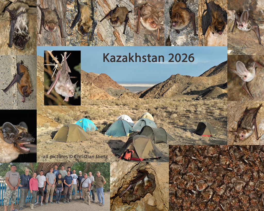 Kazakhstan 2026