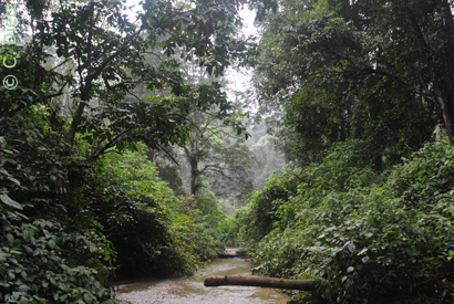 Nam Trang
